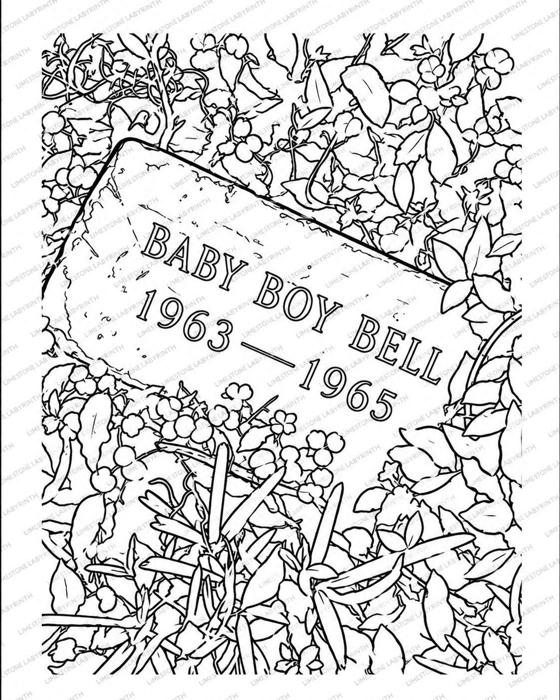 Florida Haunted History: The Coloring Book