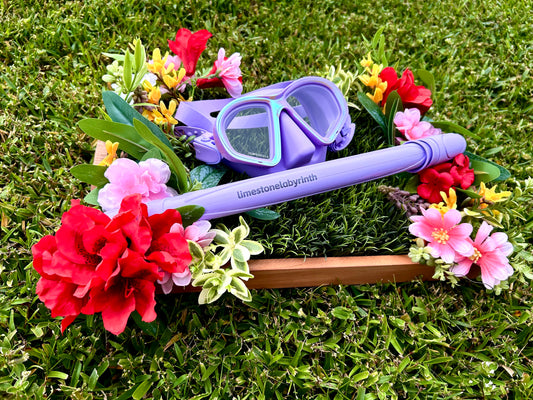 Tomatoa Purple Snorkel Set
