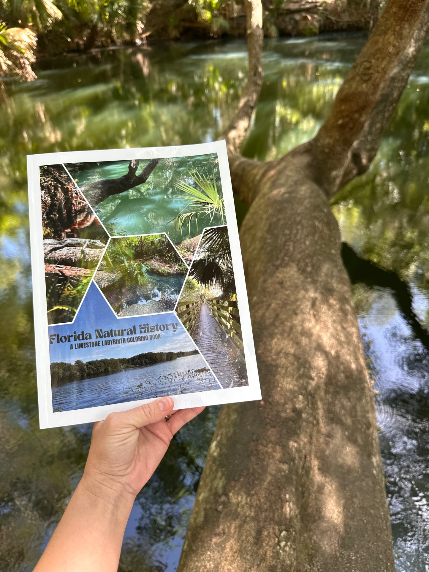 Florida Natural History Coloring Book