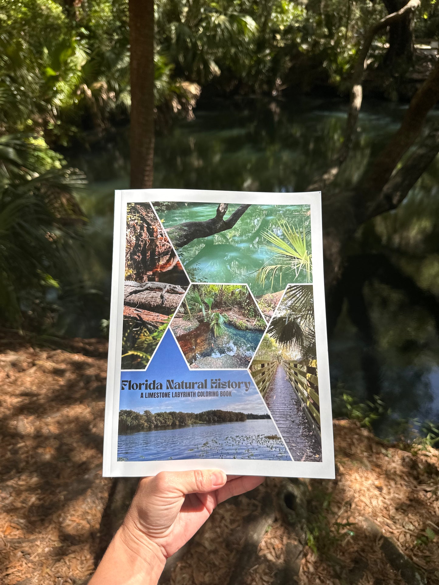 Florida Natural History Coloring Book