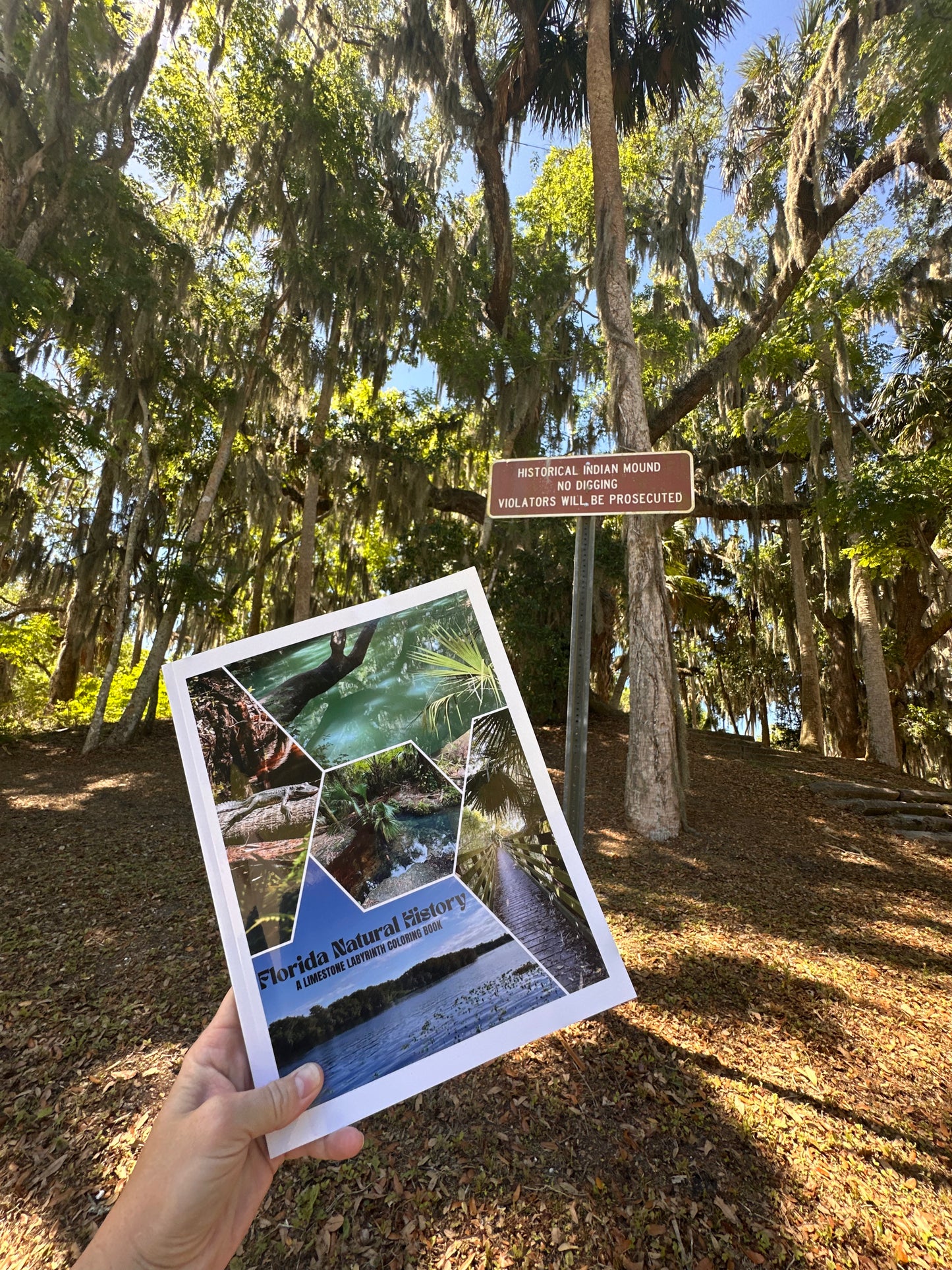 Florida Natural History Coloring Book