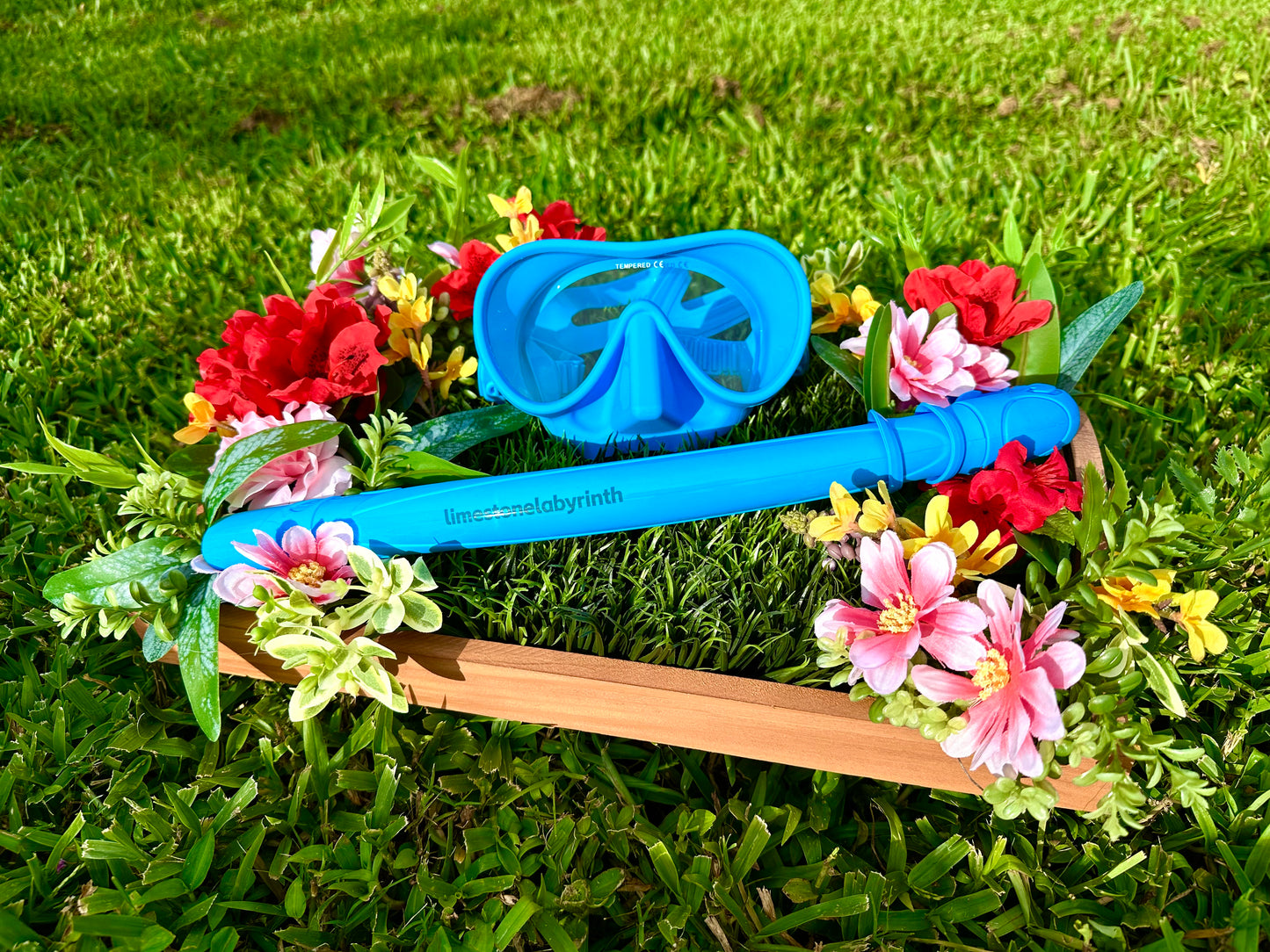 Spring Blue Snorkel Set