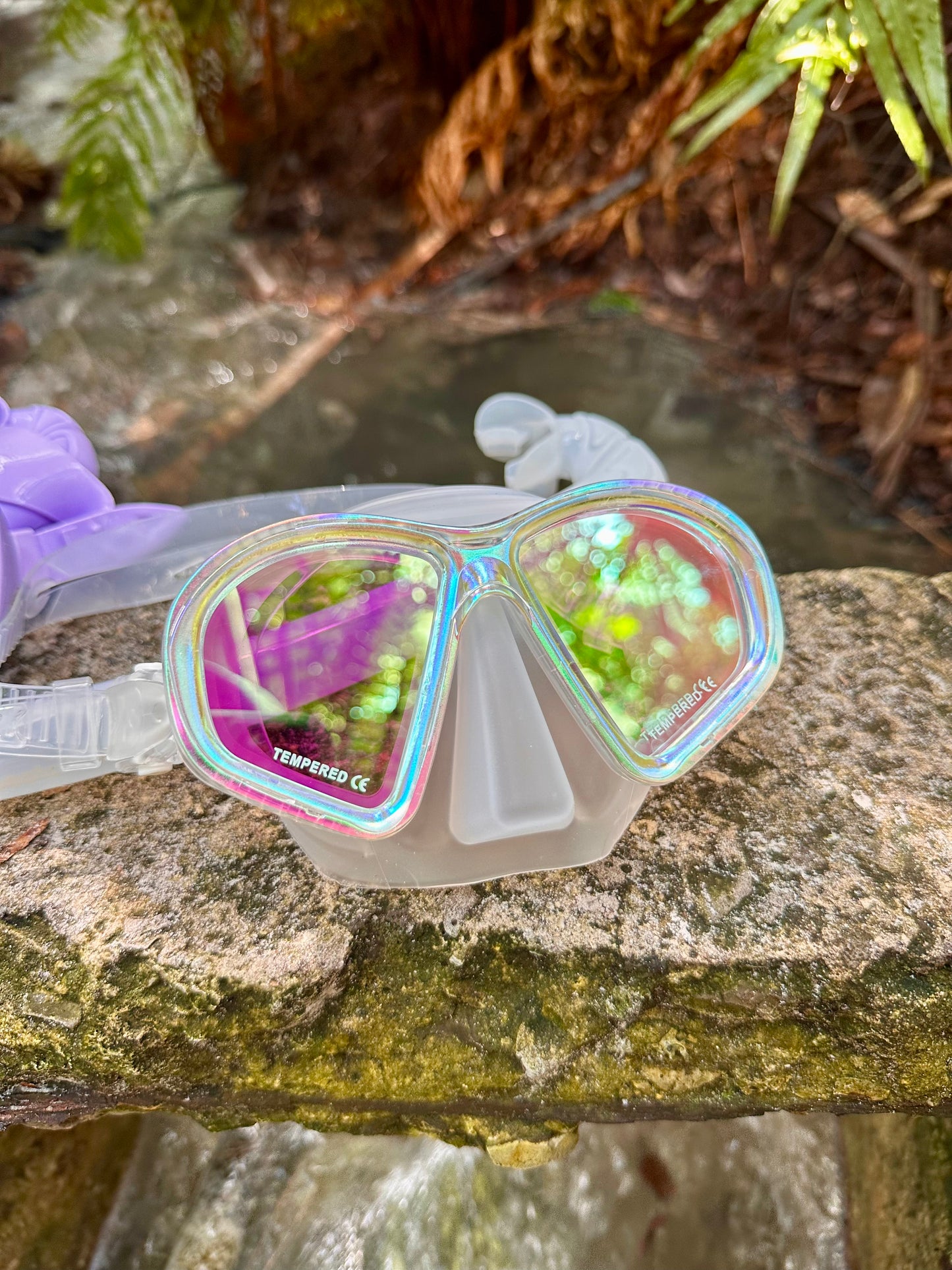 Iridescent Rainbow-Tinted
